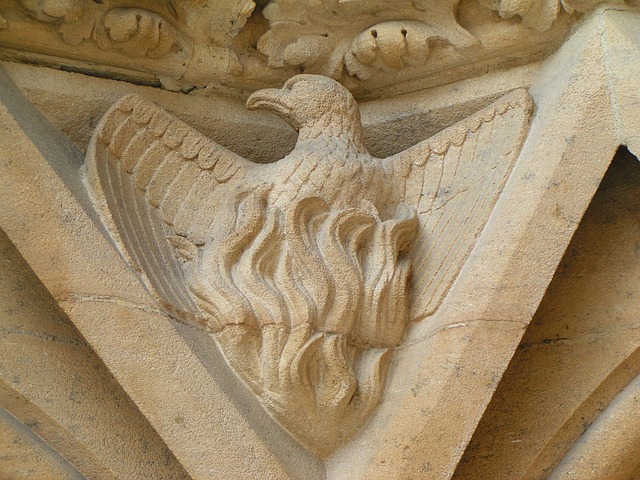 Le phenix, symbole de la transformation.